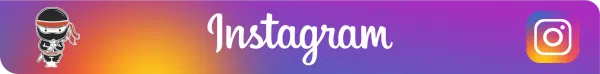 Instagram Ninja Brindes