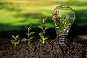 Brindes Ecofuturistas: Como Marcas Estão Usando Tecnologias Verdes em Presentes Personalizados