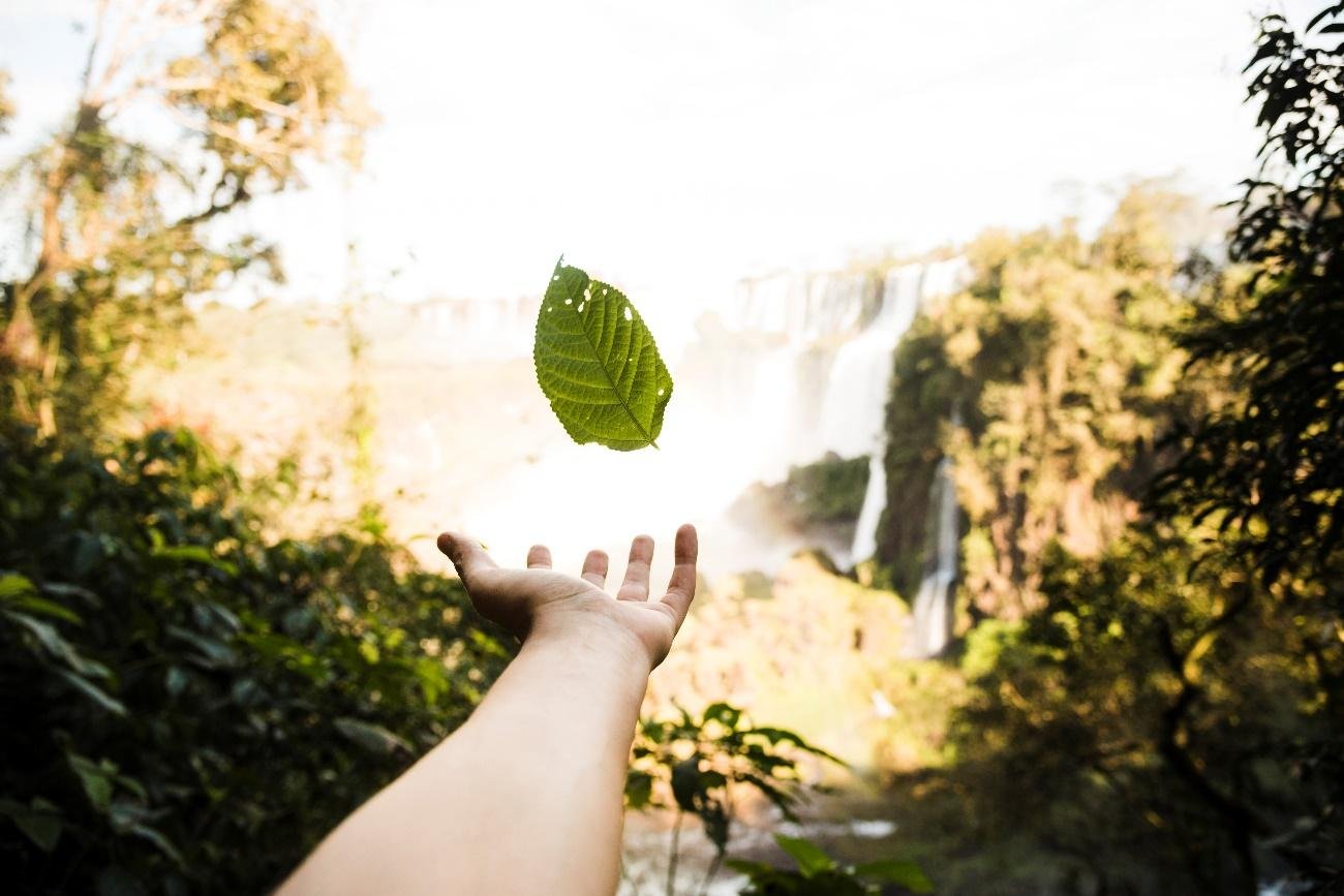 Por Que Escolher Brindes Ecológicos Personalizados para Fortalecer a Imagem da Empresa